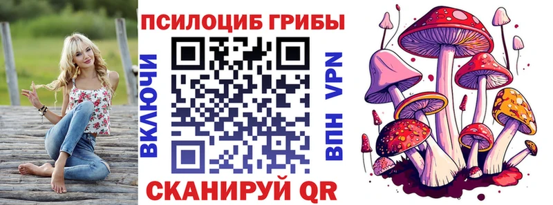 Галлюциногенные грибы Psilocybe  Питкяранта 